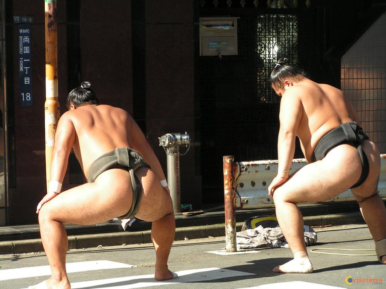 sumo