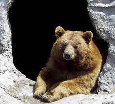 ours